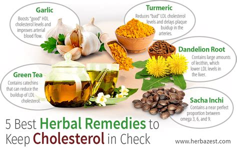 best natural treatment for cholesterol.